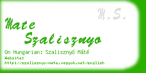 mate szalisznyo business card