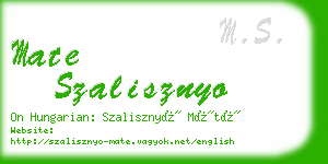 mate szalisznyo business card